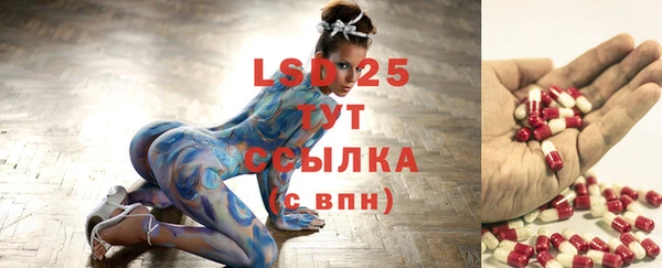 сатива Волосово