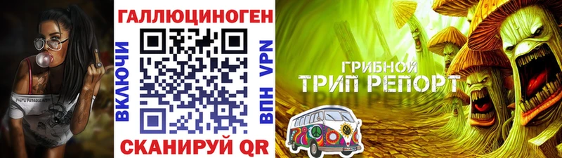 блэк спрут ONION  Томари  Галлюциногенные грибы мицелий 